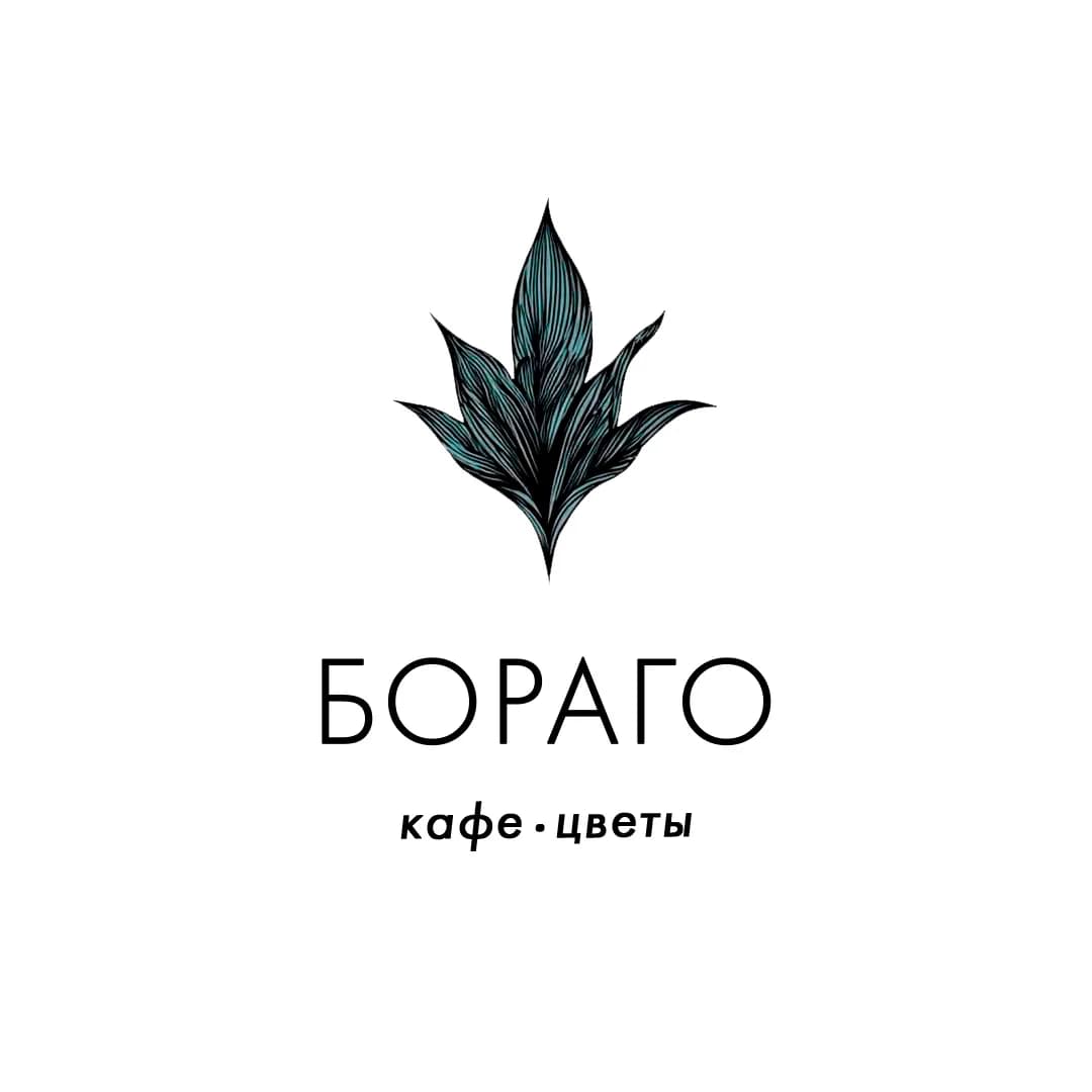 Borago logo shown with safe fields