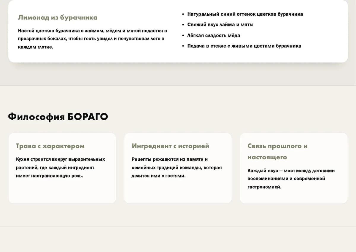 Borago brandbook philosophy page